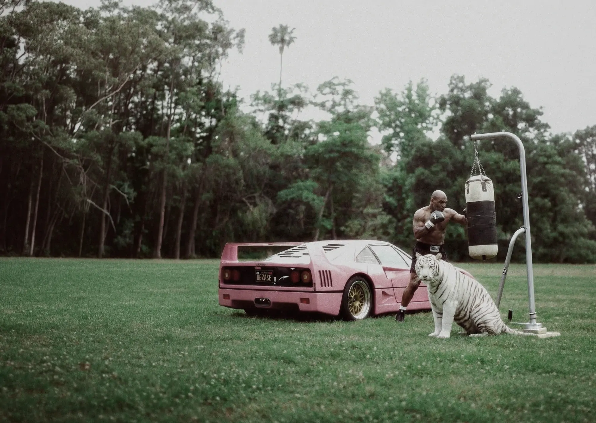 Before colour grading